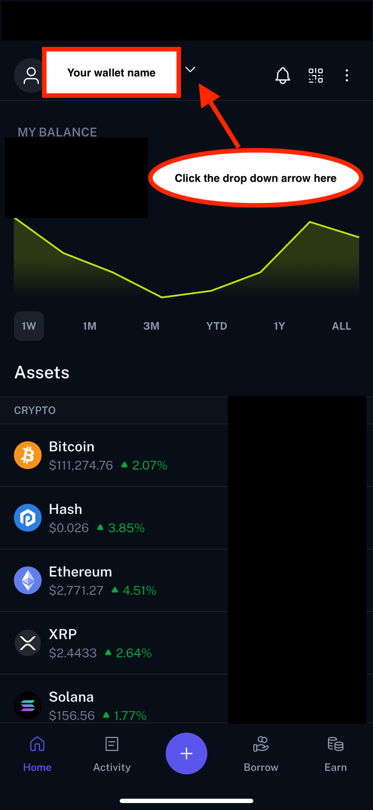 manage wallet 1.png